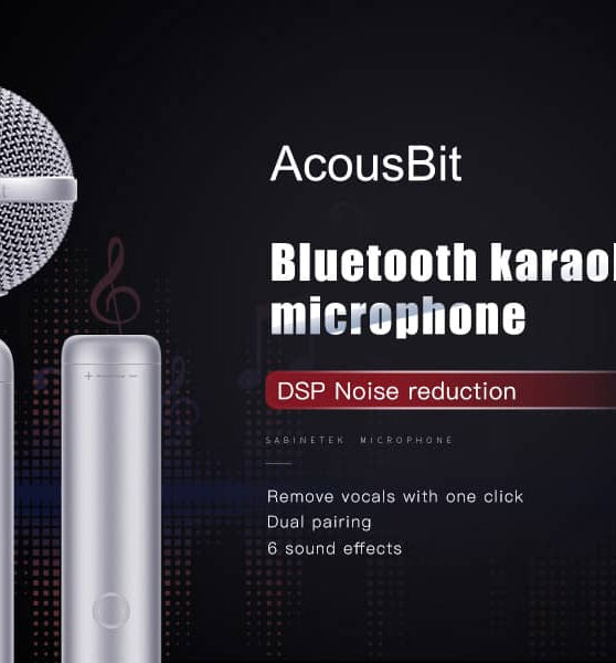 AcousBit Wireless Bluetooth Karaoke Microphone
